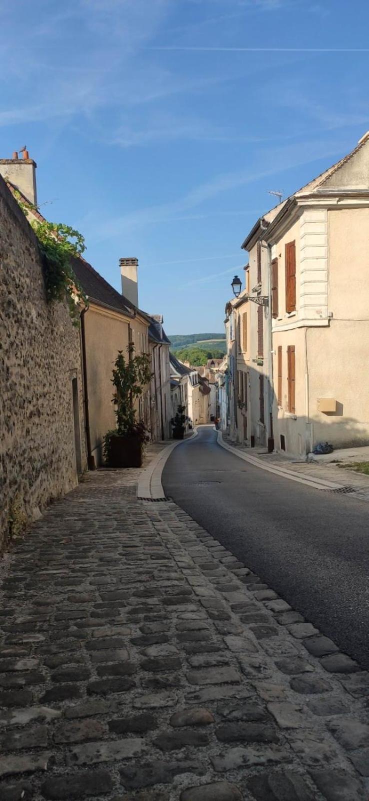 Esope By Kleidos-Ravissant T2 En Plein Centre De Chateau-Thierry Bagian luar foto